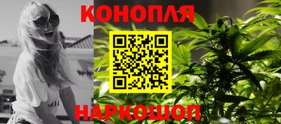 гидра Новодвинск
