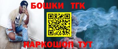 гидра Новодвинск