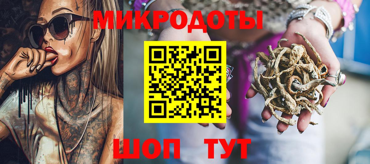 Псилоцибиновые грибы Cubensis Тара